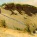The Sand Dune